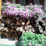 Urlaub Auf Dem Haenslehof Appartement Elzach