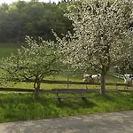 Urlaub Auf Dem Haenslehof * Elzach