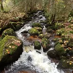 Urlaub Auf Dem Haenslehof Appartement Elzach
