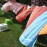 Urlaub Auf Dem Haenslehof Elzach