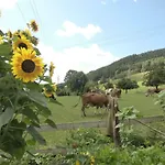 Appartement Urlaub Auf Dem Haenslehof Elzach