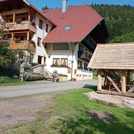 Urlaub Auf Dem Haenslehof Διαμέρισμα Elzach