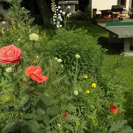 Urlaub Auf Dem Hänslehof Apartment Elzach