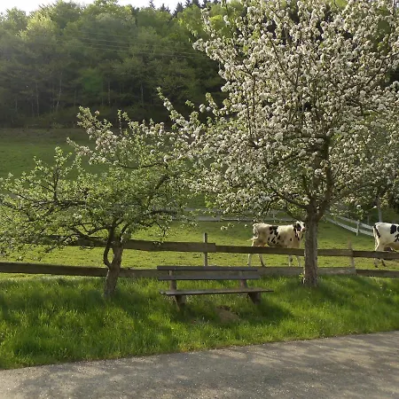 Urlaub Auf Dem Haenslehof * Elzach