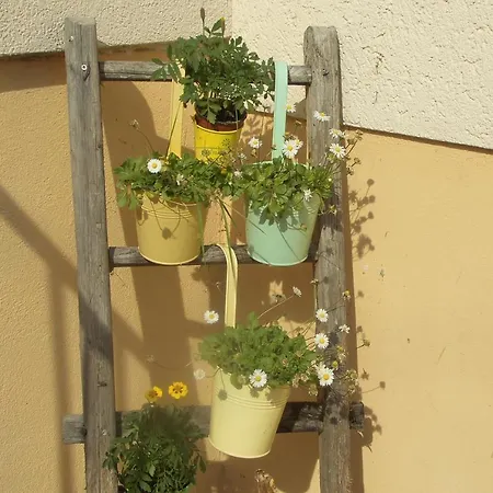 Urlaub Auf Dem Haenslehof Apartmán Elzach