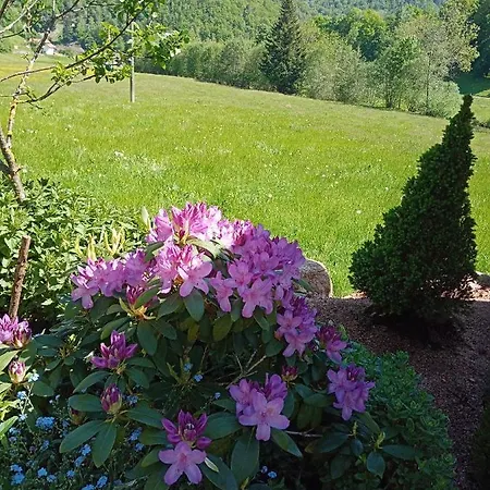 Urlaub Auf Dem Haenslehof *