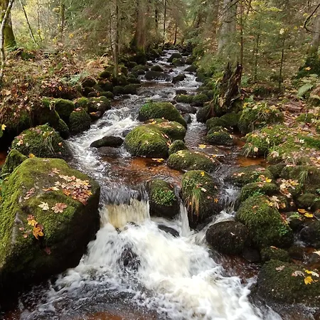 Urlaub Auf Dem Haenslehof Apartamento Elzach