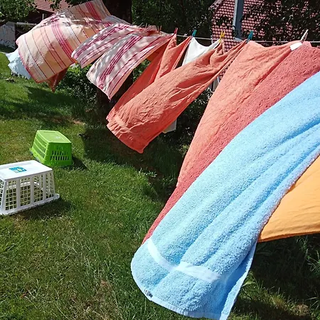 Urlaub Auf Dem Haenslehof Elzach