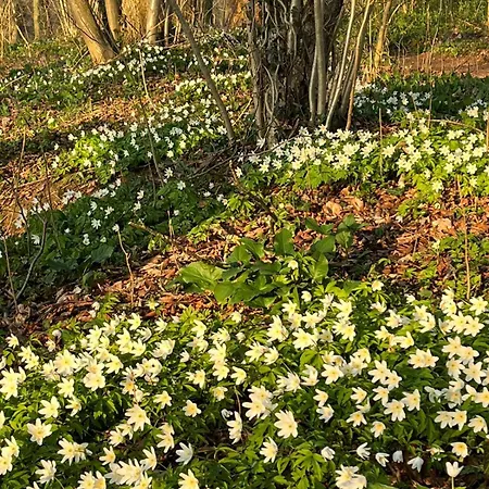 Urlaub Auf Dem Haenslehof شقة