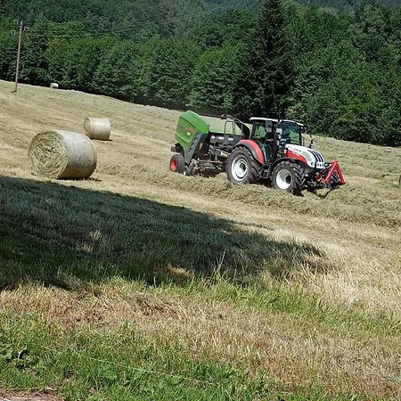 شقة Urlaub Auf Dem Haenslehof *