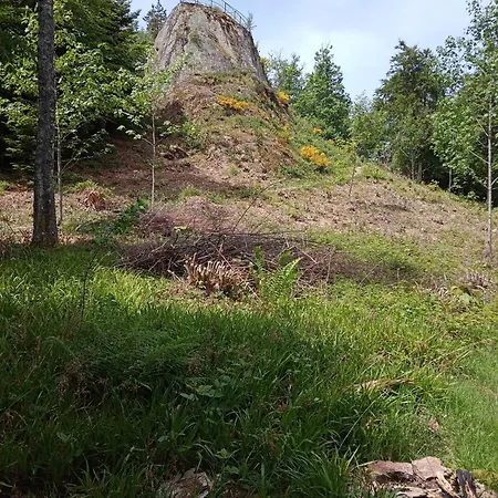 Urlaub Auf Dem Hänslehof Elzach