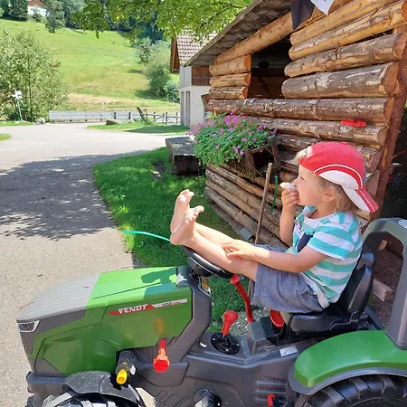 Urlaub Auf Dem Haenslehof Appartement Elzach