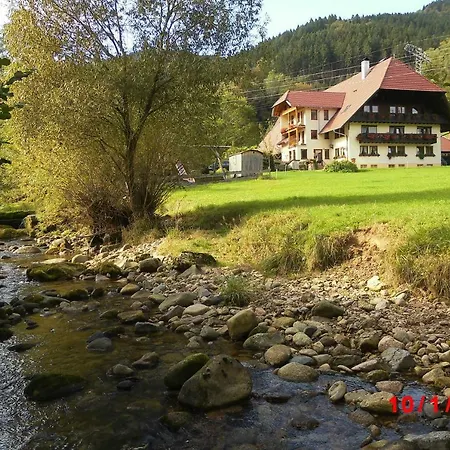 Urlaub Auf Dem Haenslehof Apartmán Elzach