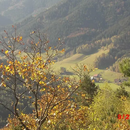 Urlaub Auf Dem Haenslehof *