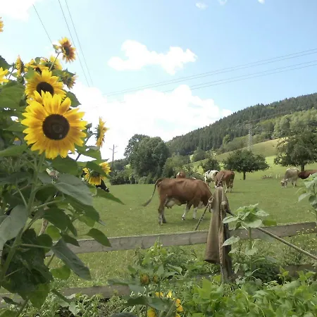 Διαμέρισμα Urlaub Auf Dem Haenslehof Elzach