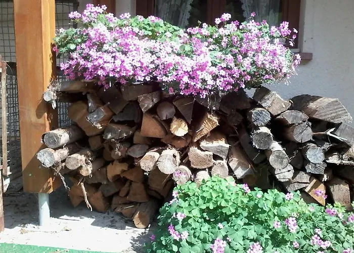 Urlaub Auf Dem Haenslehof Apartmán Elzach