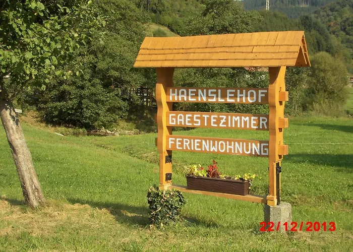 Urlaub Auf Dem Haenslehof Apartmán Elzach