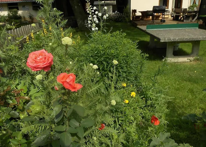 Urlaub Auf Dem Haenslehof Apartamento Elzach