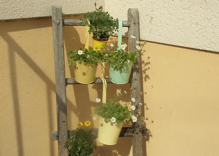 Urlaub Auf Dem Haenslehof Apartamento Elzach