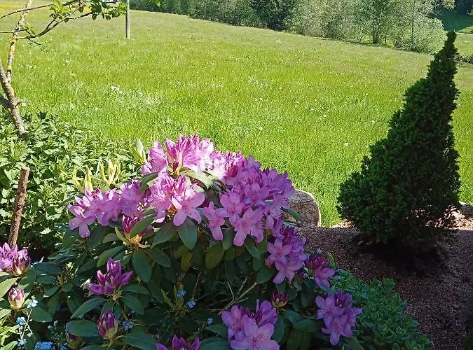 Urlaub Auf Dem Haenslehof *