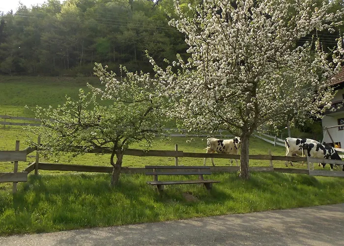 Urlaub Auf Dem Haenslehof Apartmán