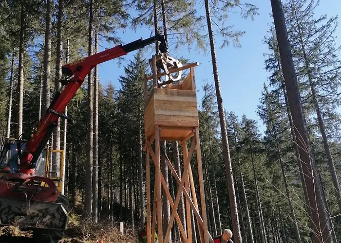 Urlaub Auf Dem Haenslehof * Elzach