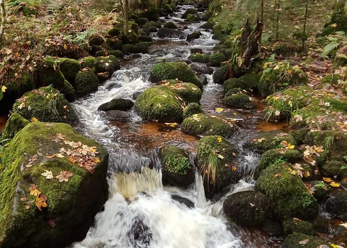 Urlaub Auf Dem Haenslehof Apartmán Elzach