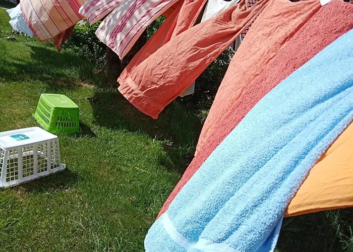 Urlaub Auf Dem Haenslehof Elzach