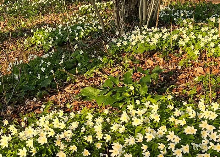 Urlaub Auf Dem Haenslehof Apartmán