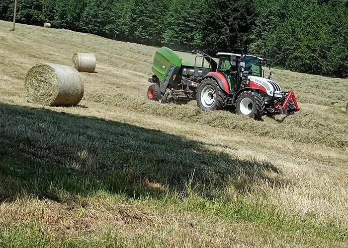 Apartamento Urlaub Auf Dem Haenslehof *
