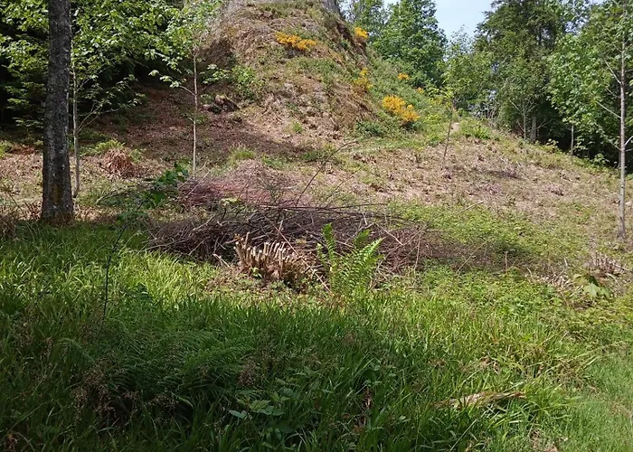 Urlaub Auf Dem Haenslehof Elzach