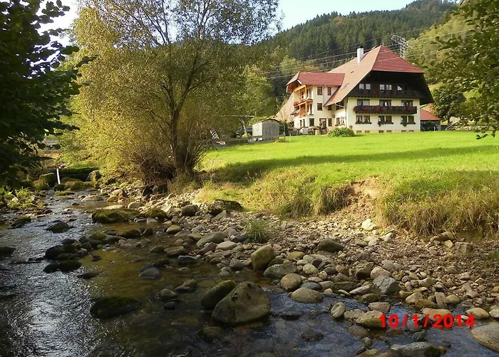 Urlaub Auf Dem Haenslehof Apartmán Elzach