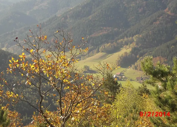 Urlaub Auf Dem Haenslehof *
