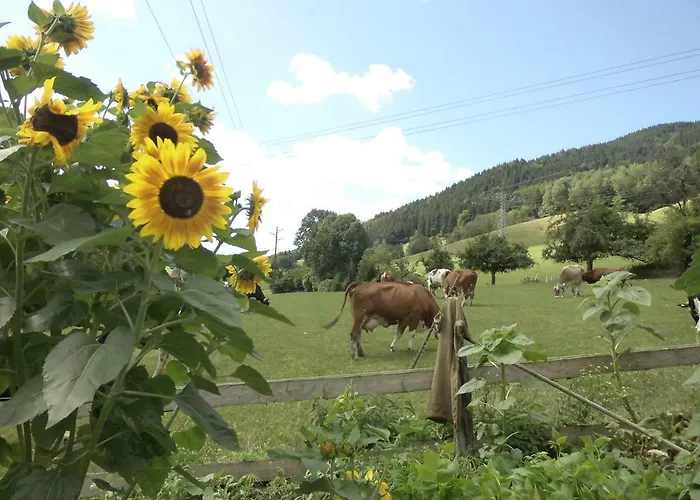 Apartamento Urlaub Auf Dem Haenslehof Elzach