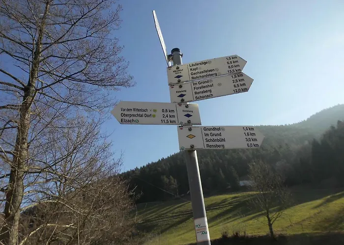 Urlaub Auf Dem Haenslehof Elzach